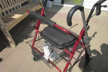 EXTRA WIDE SUNBURST ROLLATOR WALKER WITH CANE